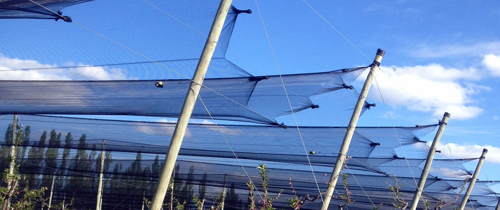 Plaquetas y Cubrepalos 